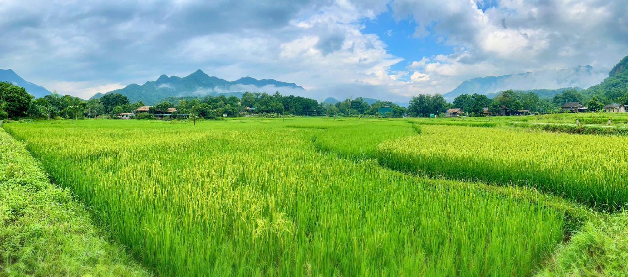 Mai Chau Sky Resort Dış mekan fotoğraf