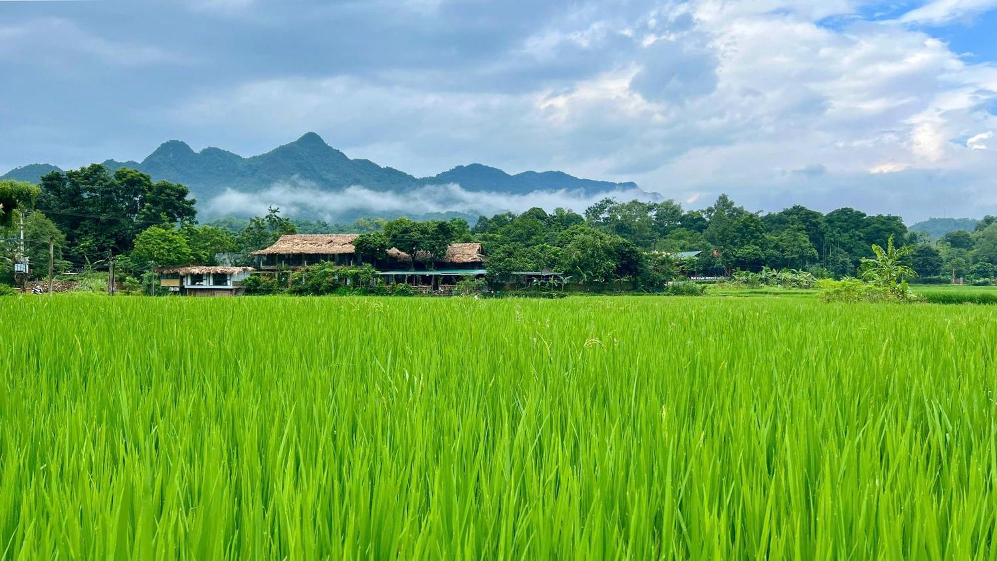 Mai Chau Sky Resort Dış mekan fotoğraf